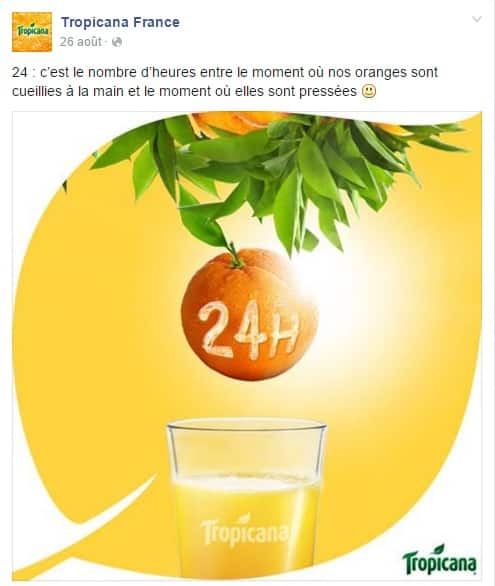tropicana