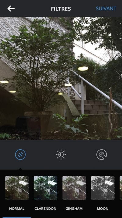 12463593_10153842161808844_1663777668_n