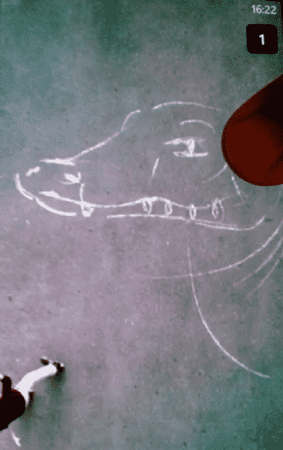 spotcroc.jpg