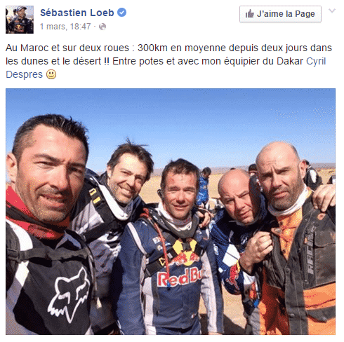 Loeb2