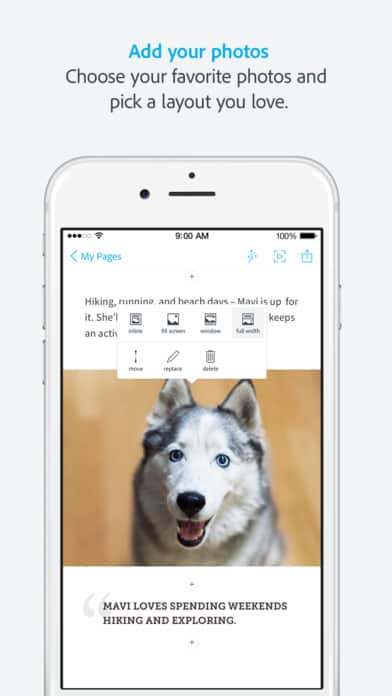spark_page