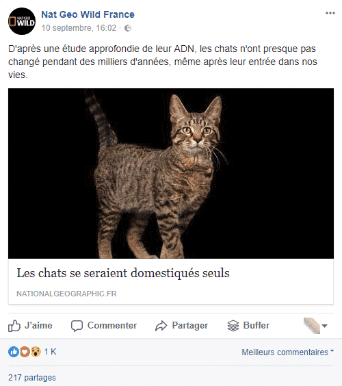 natgeo