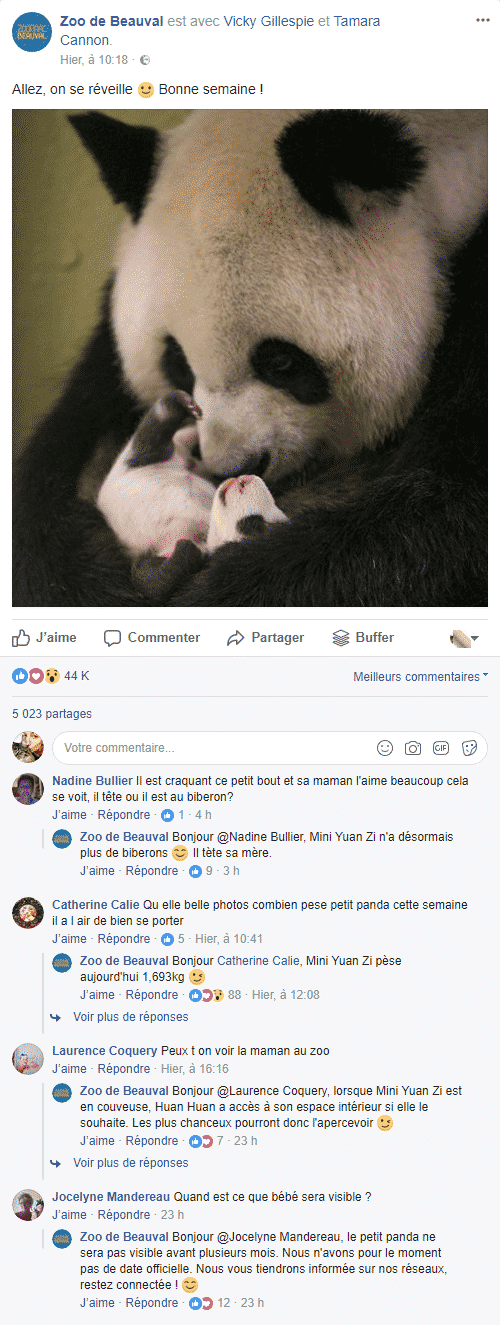 zoo